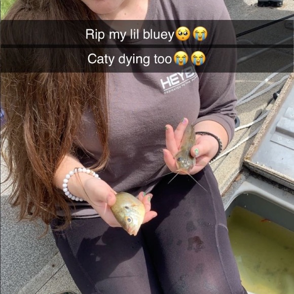 Meet your Posher, Shelby - Picture 1 of 3